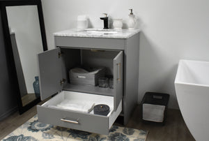 Volpa USA Capri 30" Modern Bathroom Vanity Grey MTD-3530G-1C AO