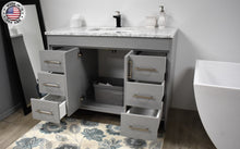 Load image into Gallery viewer, Volpa USA Capri 48&quot; Modern Bathroom Vanity Grey MTD-3548G-1C MIUASO