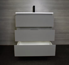 Load image into Gallery viewer, Volpa USA Pepper 24&quot; Modern Bathroom Vanity MTD-3724-A