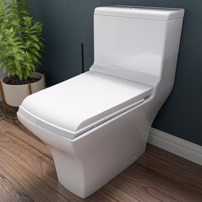 EAGO TB356 Dual Flush One Piece Eco-friendly High Efficiency Low Flush Ceramic Toilet