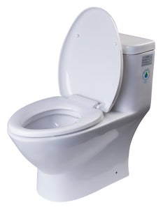 EAGO TB346 Modern Dual Flush One Piece Eco-friendly High Efficiency Low Flush Ceramic Toilet