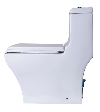 EAGO TB356 Dual Flush One Piece Eco-friendly High Efficiency Low Flush Ceramic Toilet