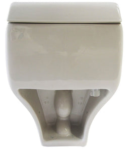 EAGO TB108 One Piece High Efficiency Low Flush Eco-friendly Ceramic Toilet