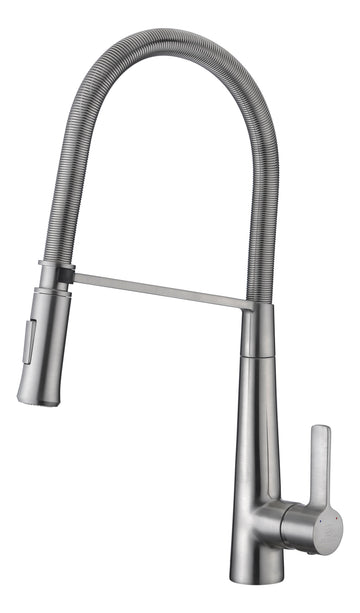 Apollo Single Handle Pull-Down Sprayer Kitchen Faucet