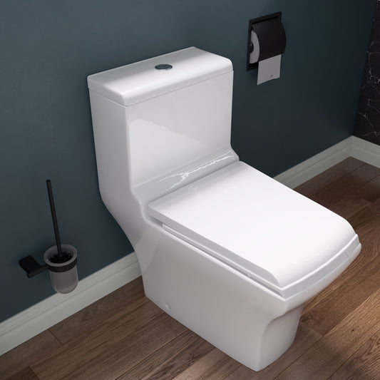 EAGO TB356 Dual Flush One Piece Eco-friendly High Efficiency Low Flush Ceramic Toilet