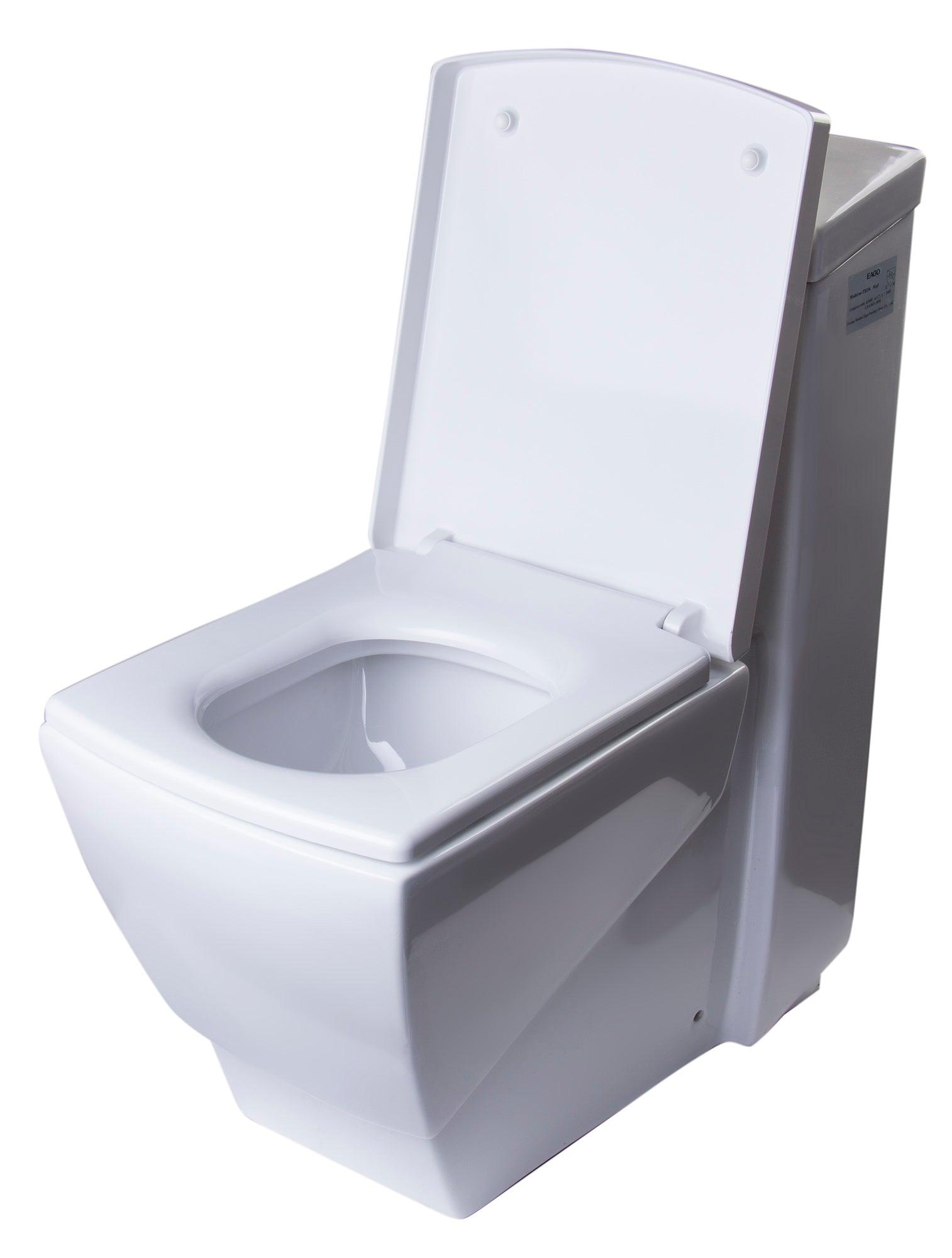 EAGO TB336 One Piece High Efficiency Low Flush Eco-friendly Ceramic Toilet