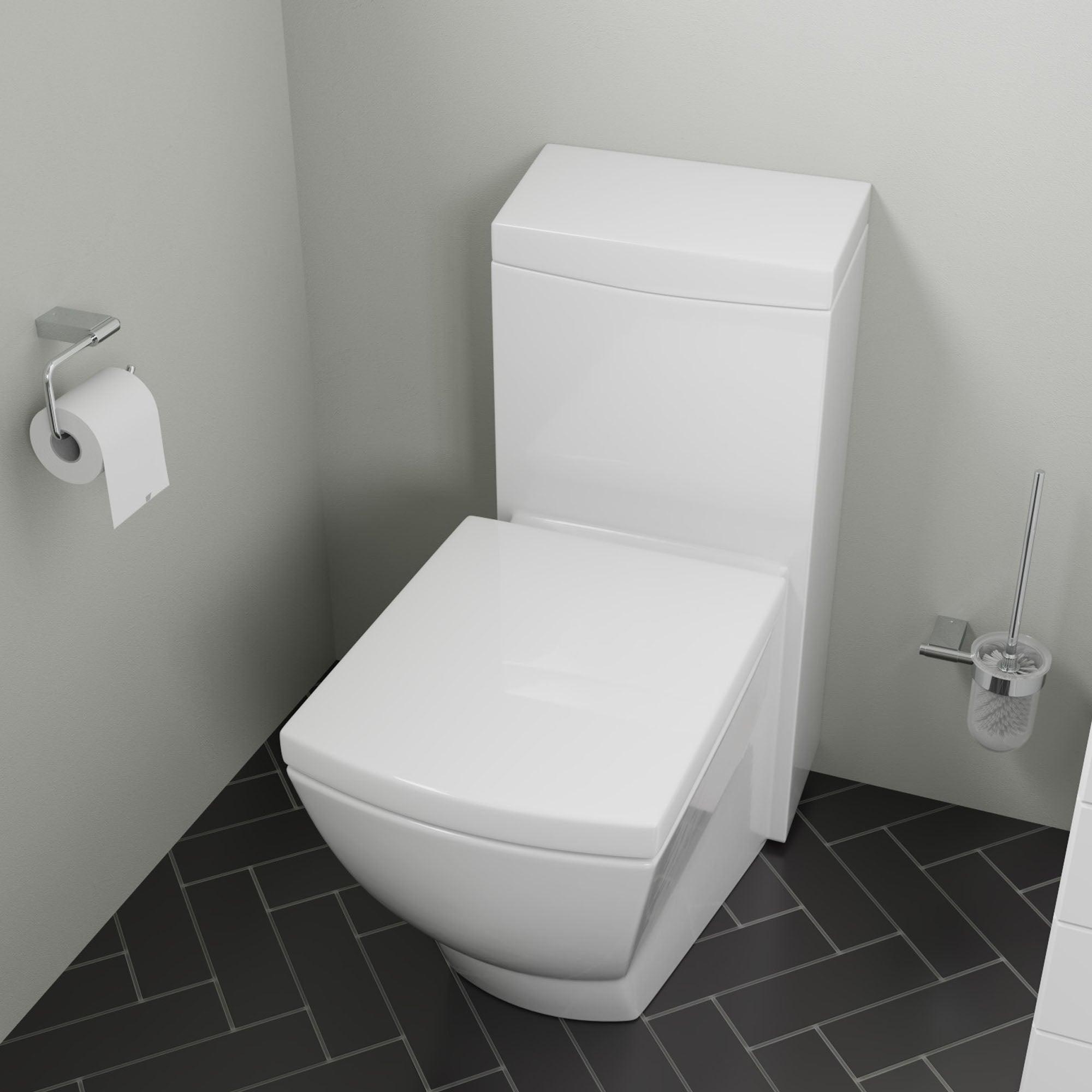 EAGO TB336 One Piece High Efficiency Low Flush Eco-friendly Ceramic Toilet